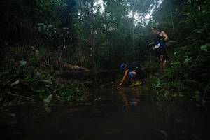 BIB: 
                            <button type="button" onclick="openModal(22483553)" class="btn btn-primary btn-sm float-right btn-popup" data-toggle="modal" data-target=".modal-high-quality">
                        <i class="fas fa-shopping-cart"></i> Add to Cart
                    </button>
                                            <button type="button" onclick="isThisMe(22483553, true)" class="btn btn-success btn-sm float-right btn-popup btn-isme hidden" data-toggle="tooltip" data-placement="bottom" title="นี่คือรูปของคุณใช่ไหม คลิกที่นี่เพื่อเอาเข้าอัลบั้ม">
                        <i class="fas fa-plus"></i> Add to album
                    </button>
                    <button type="button" onclick="isThisMe(22483553, false)" class="btn btn-warning btn-sm float-right btn-popup btn-isnotme hidden">
                        <i class="fas fa-ban"></i> Remove from album
                    </button>